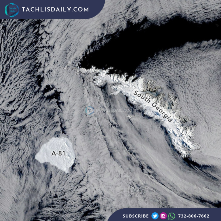 NASA satellite image of Iceberg A-81 southwest of South Georgia on October 20, 2026